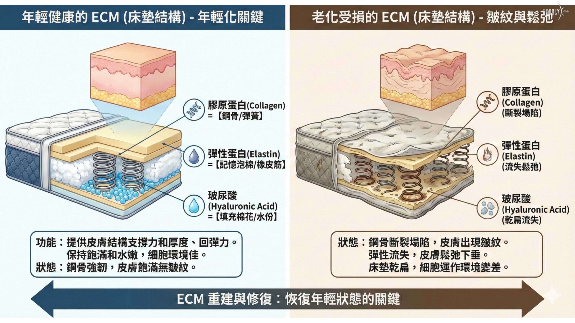 彈力針3